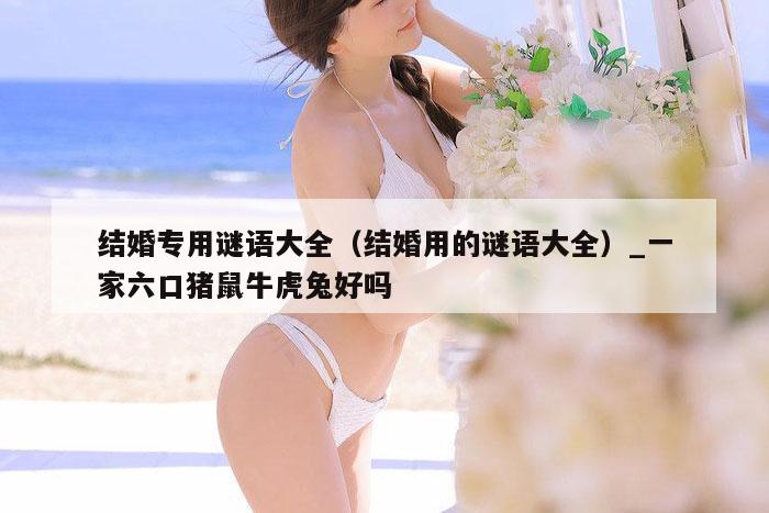 结婚专用谜语大全(结婚用的谜语大全)_一家六口猪鼠牛虎兔好吗